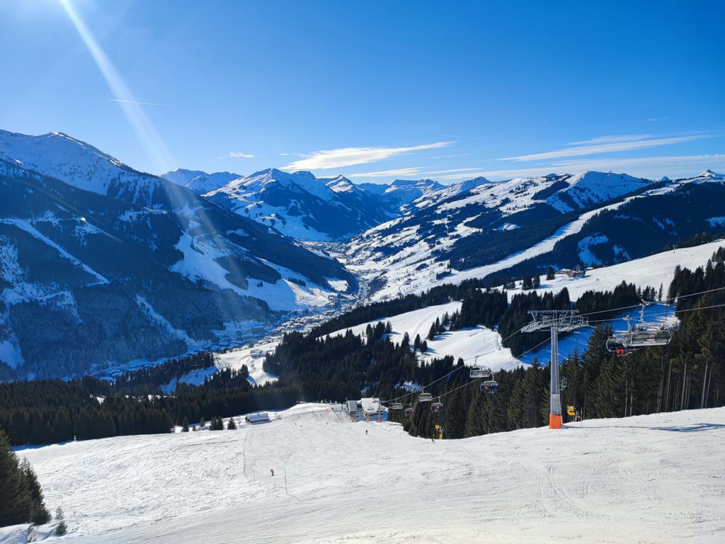 Bergerlam