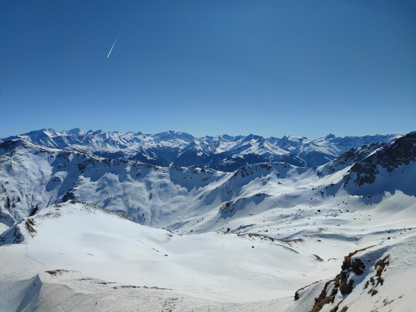 Bergerlam